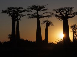 2025 N1 Papier Couleur